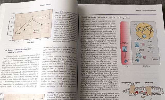 Psicología fisiológica. UNED