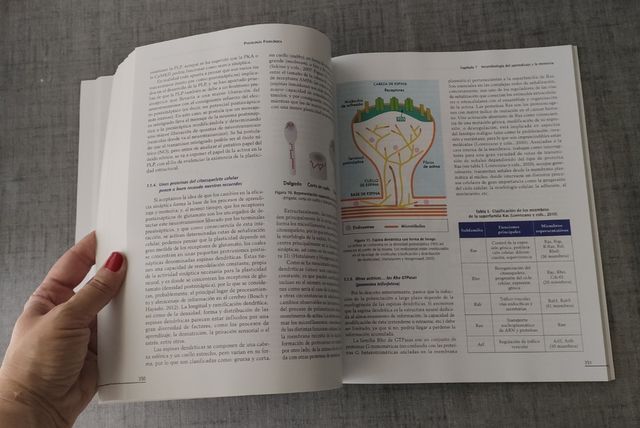 Psicología fisiológica. UNED