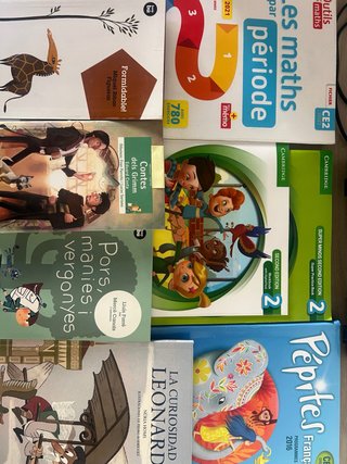 Libros CE2 liceo francés bon soleil