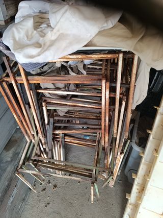 núcleos y colmenas 15 euros