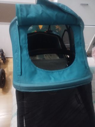 Bugaboo edición limitada