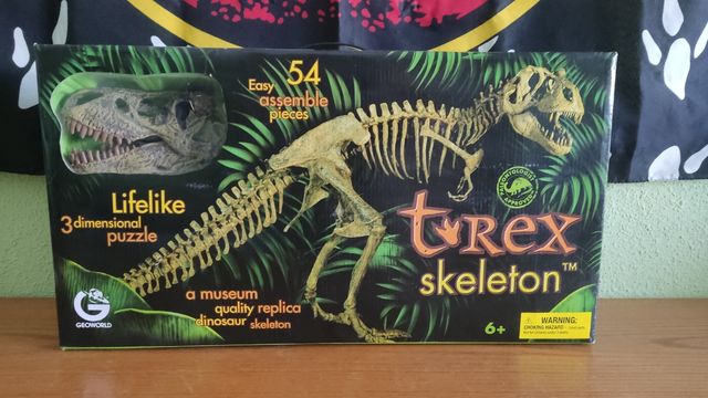 Esqueleto Dinosaurio 