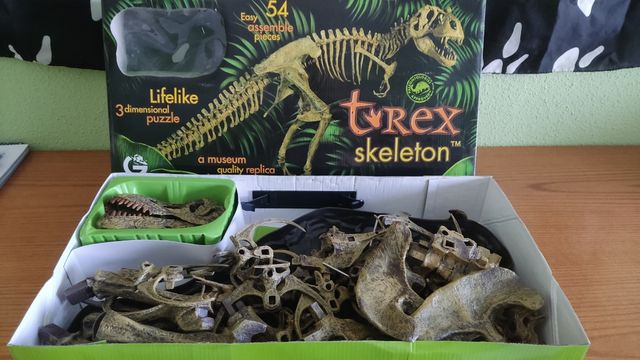 Esqueleto Dinosaurio 