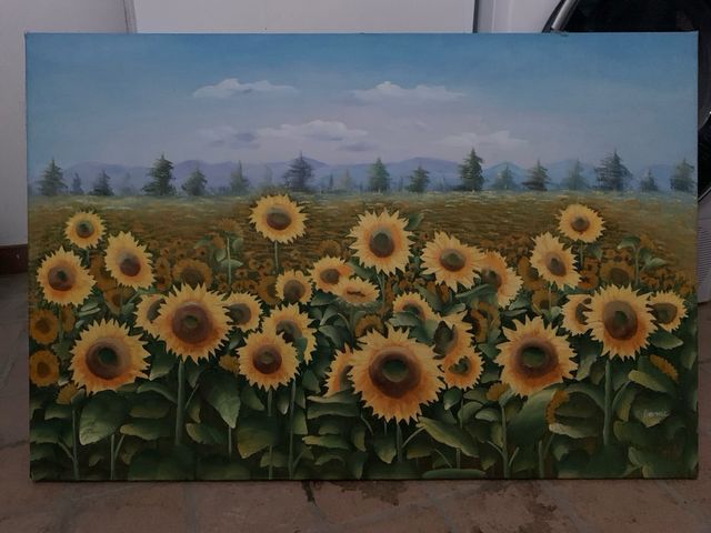 Quadro, cuadrado, girasoli, tela