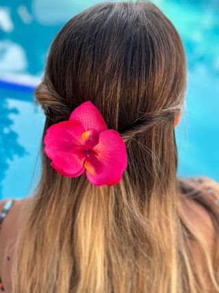 Pinza de flor orquídea