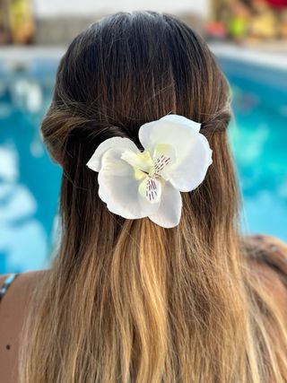 Pinza de flor orquídea