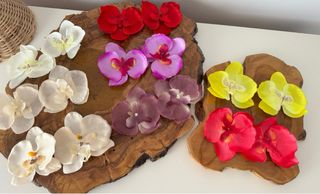 Pinza de flor orquídea