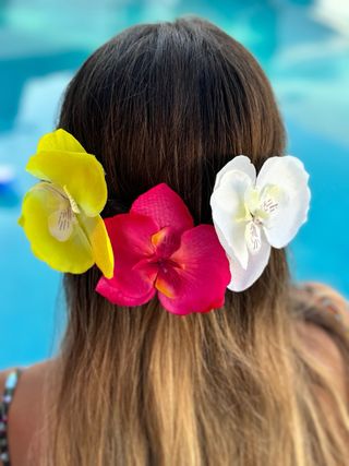 Pinza de flor orquídea