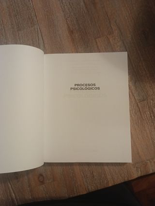 Procesos Psicológicos - Psicología Pirámide