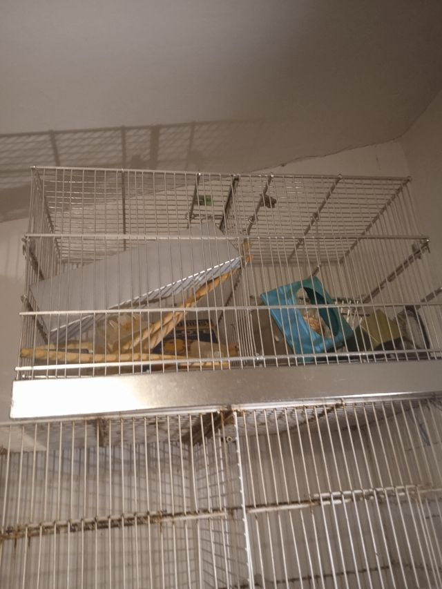 Jaulas aluminio críar con accesorios