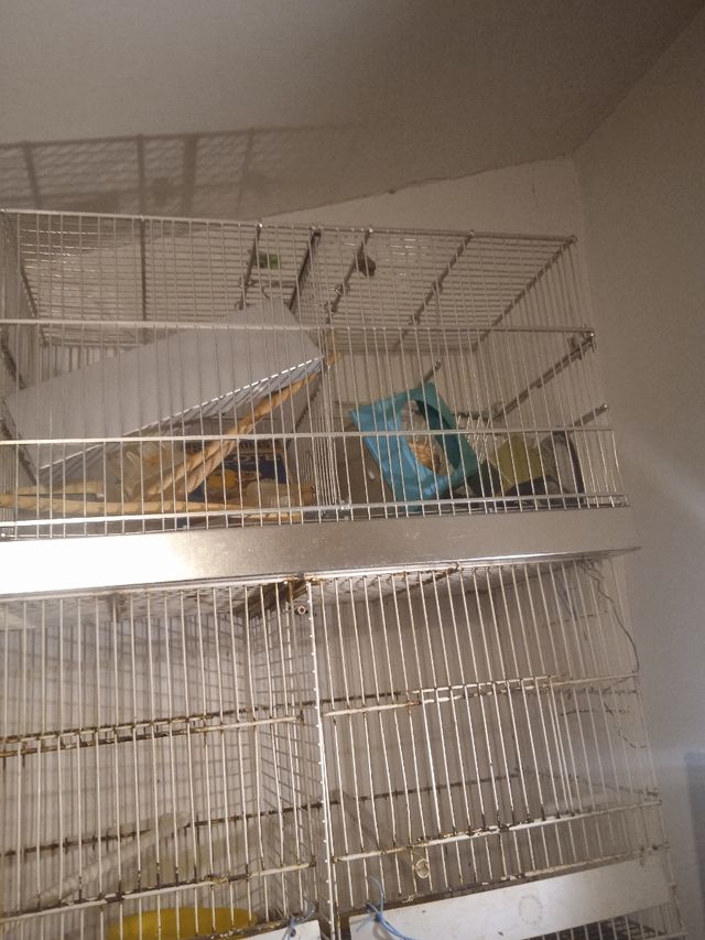 Jaulas aluminio críar con accesorios