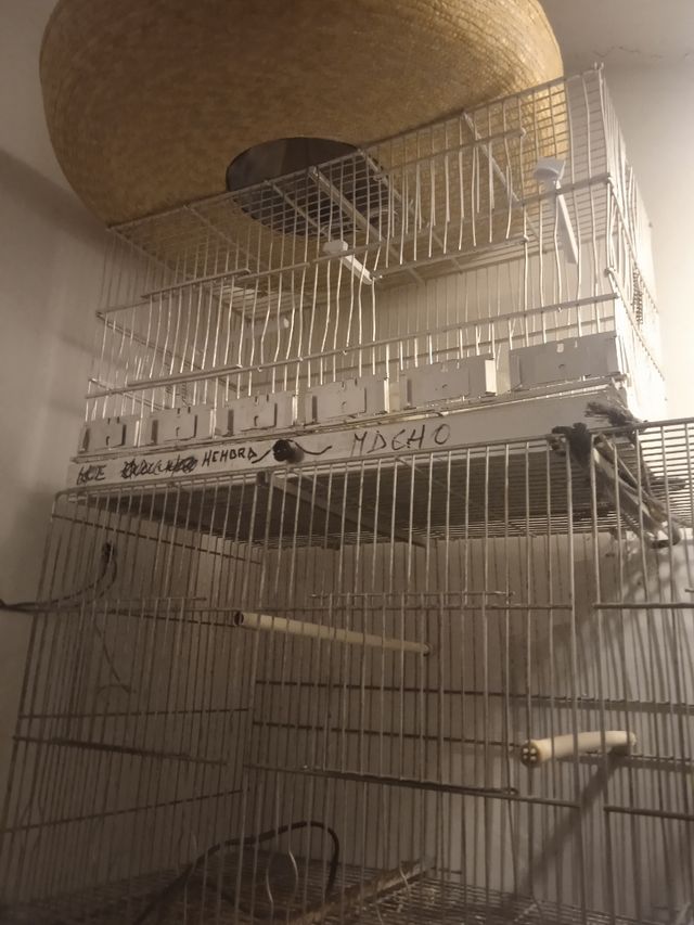 Jaulas aluminio críar con accesorios