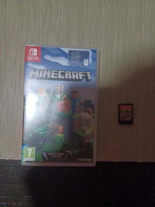Minecraft Switch 