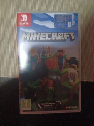 Minecraft Switch 