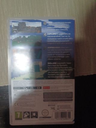 Minecraft Switch 