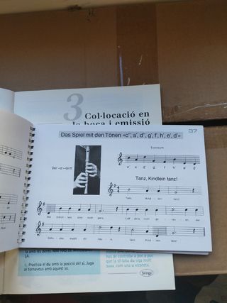 Lote flauta dulce iniciación partituras