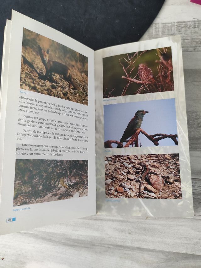 3X2!!!! BAHÍA DE MAZARRÓN.EXCURSIONES A PIE Y BICI