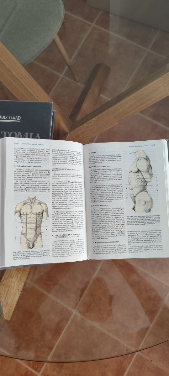 Libros Anatomía humana latarjet - Ruíz