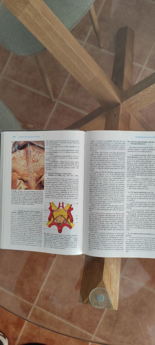 Libros Anatomía humana latarjet - Ruíz