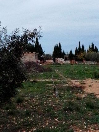terreno en el paraje del cabezo