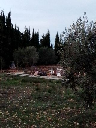 terreno en el paraje del cabezo