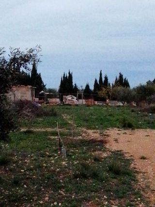 terreno en el paraje del cabezo