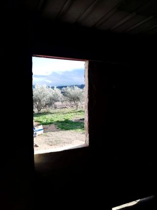 terreno en el paraje del cabezo