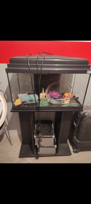 Acuario pecera