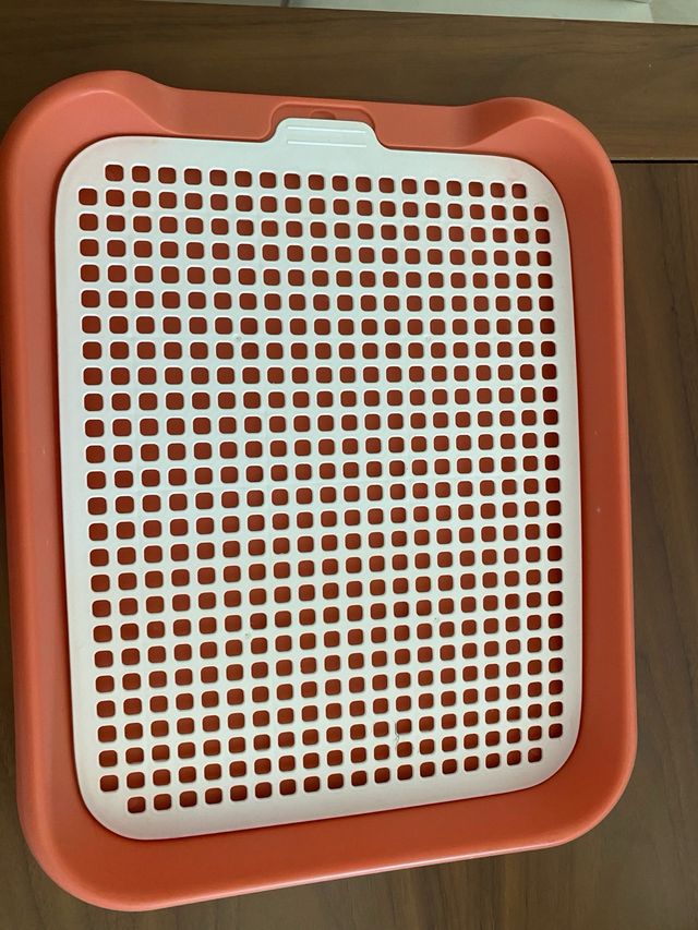 Bandeja pipi lavable , para perros