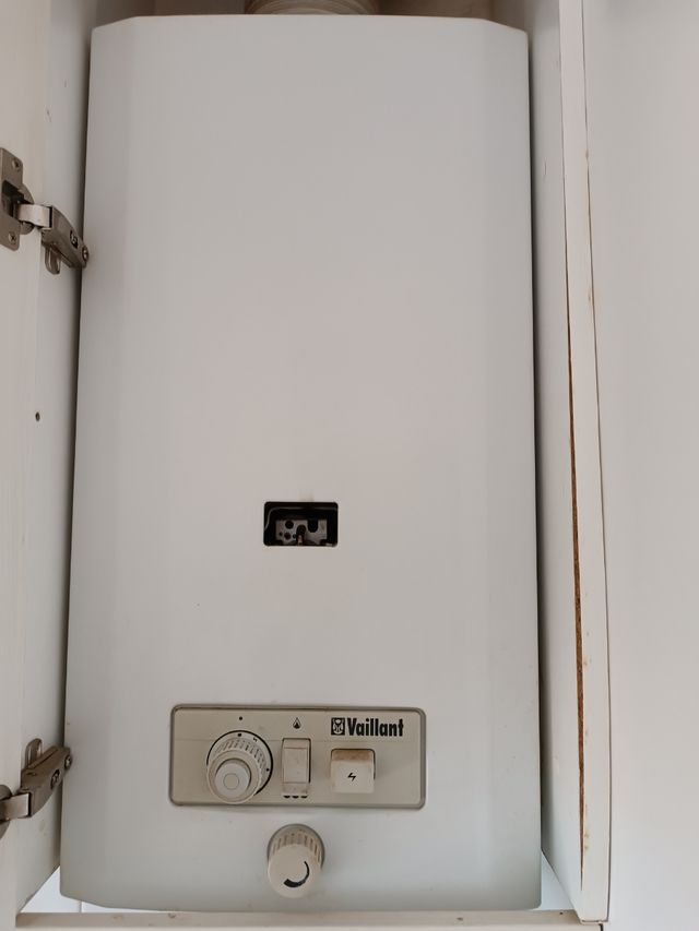 Calentador Vaillant Geyser Mag