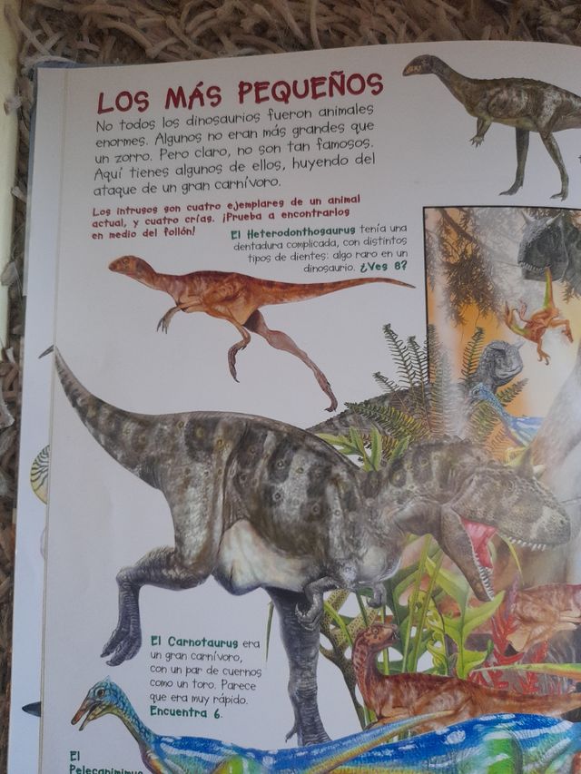 Libro Busca dinosaurios