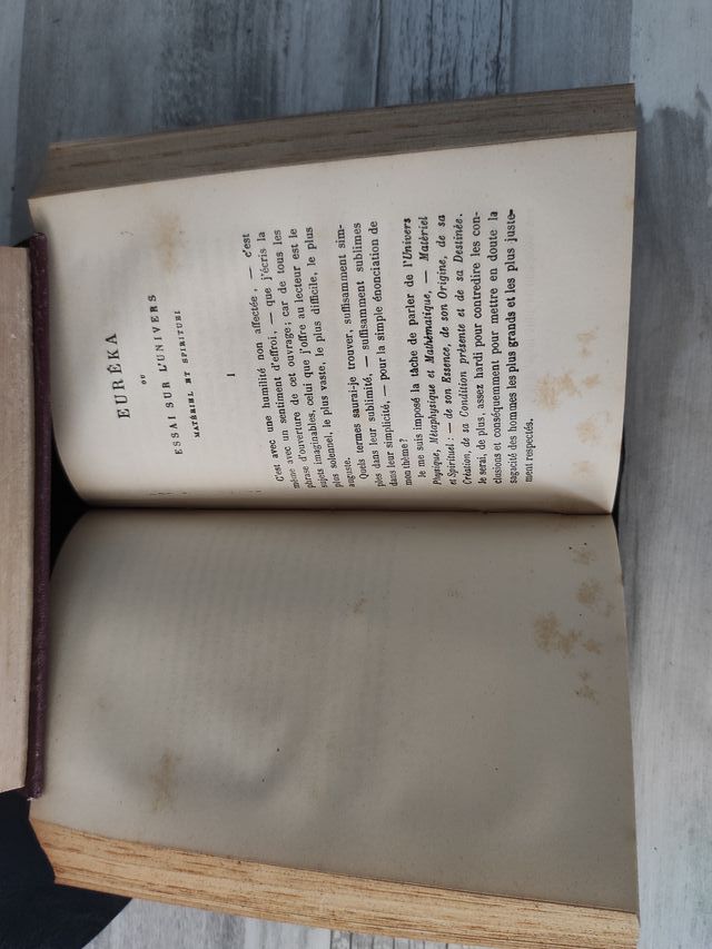 OFERTA!! AVENTURES D'ARTHUR GORDON PYM Y EUREKA. 