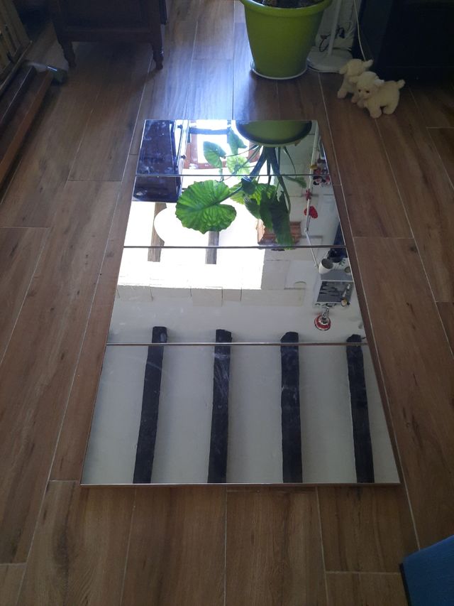 Lote 4 espejos 35.5 x 70.5 cada uno