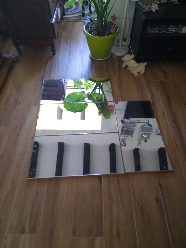 Lote 4 espejos 35.5 x 70.5 cada uno