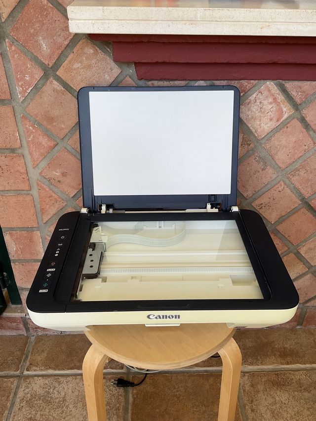 Impresora escaner Canon MG2950S
