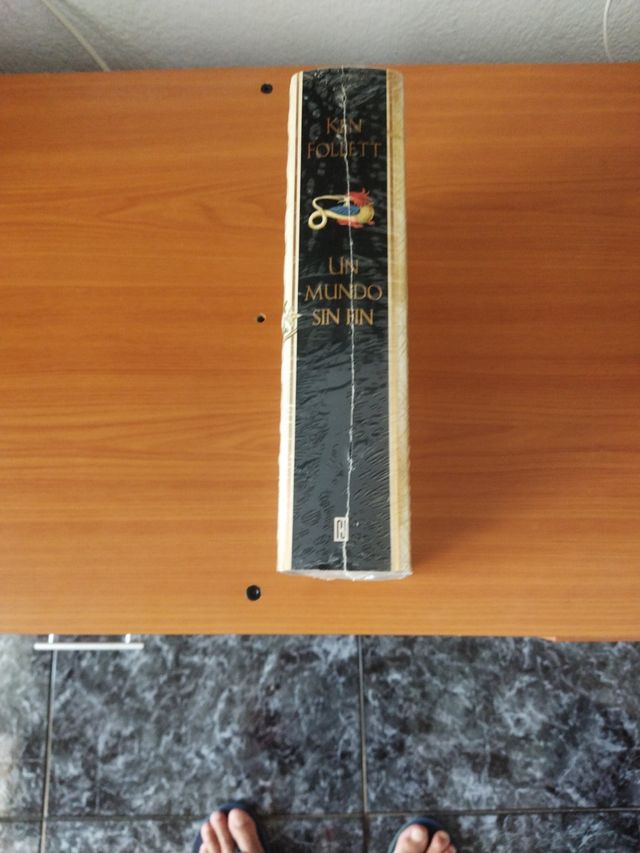 Libro un mundo sin fin.ken follett.