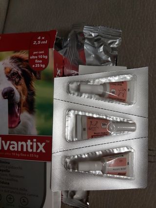 Gocce per cani 