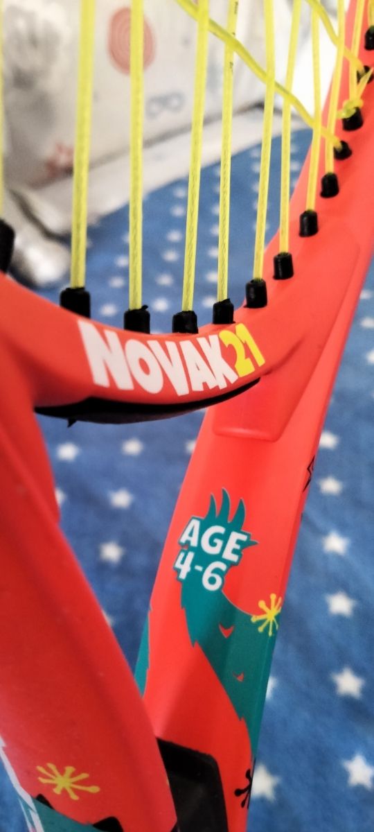 RAQUETA HESD NOVAK JÚNIOR
