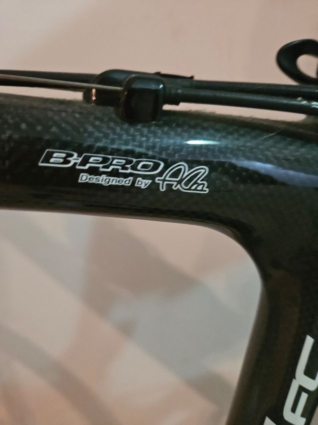 Bicicleta Bipro de carbono