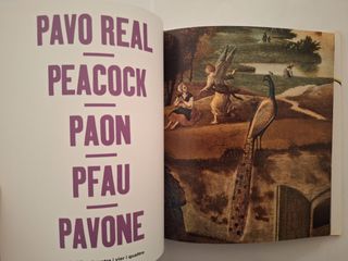 Animales en la pintura (Adultos y niños)