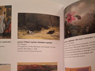 Animales en la pintura (Adultos y niños)