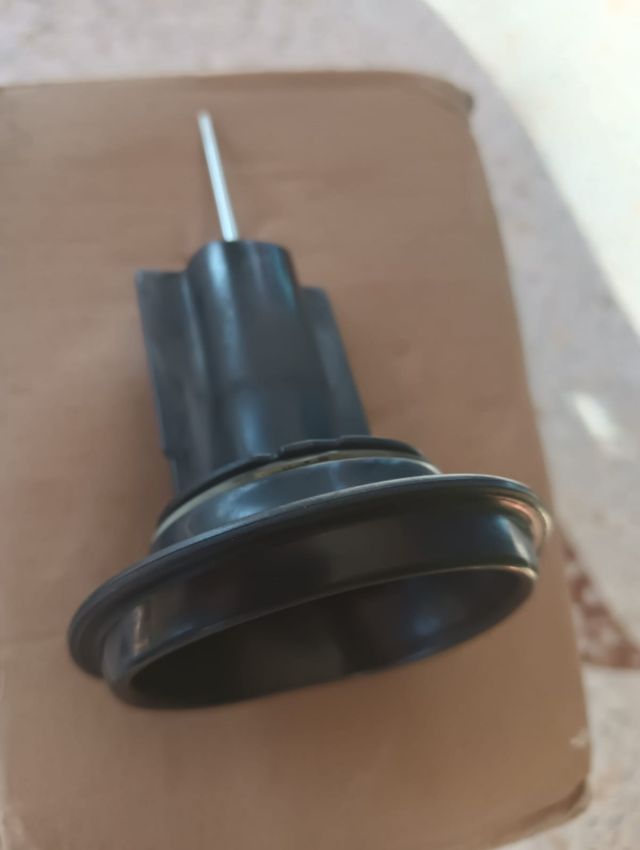 Membrana Diafragma mikuni