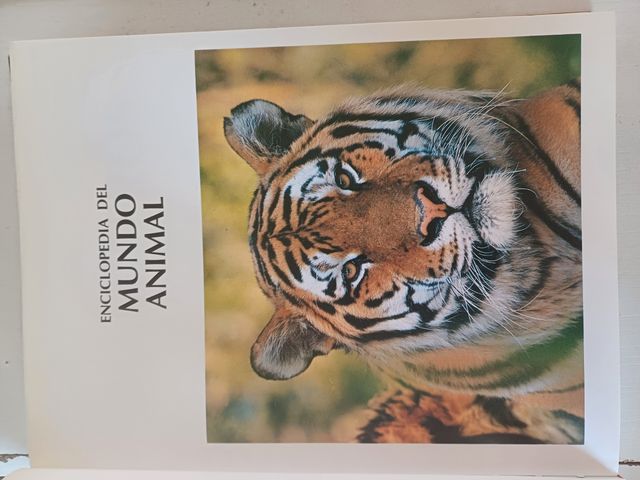 Colección enciclopedia del mundo animal