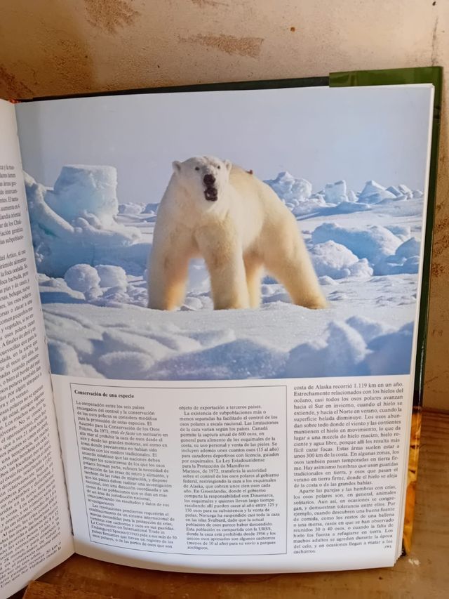 Colección enciclopedia del mundo animal