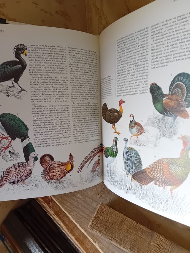Colección enciclopedia del mundo animal