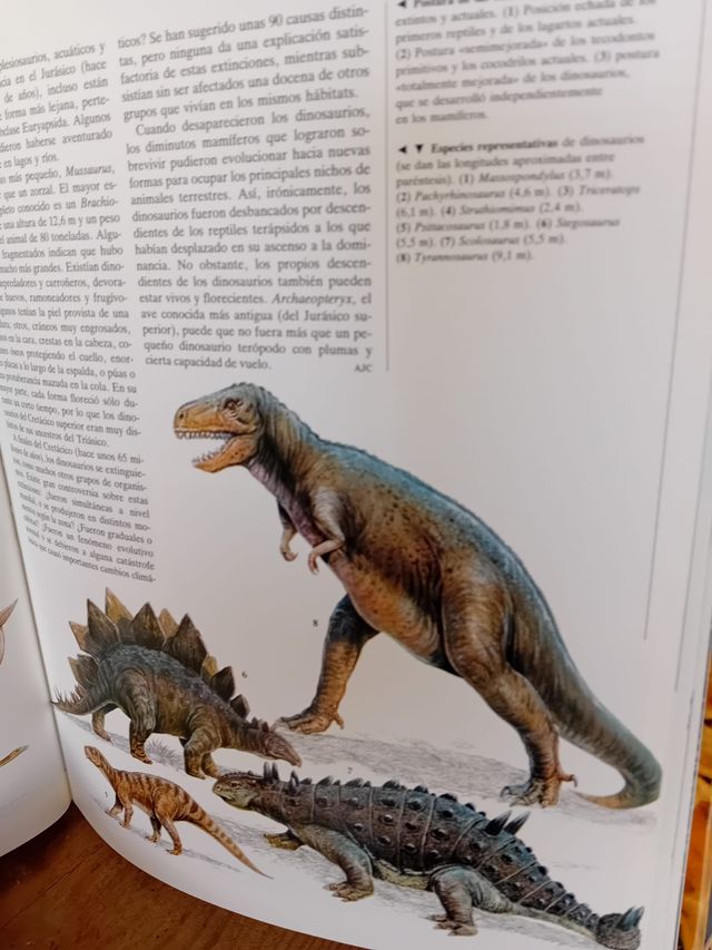 Colección enciclopedia del mundo animal