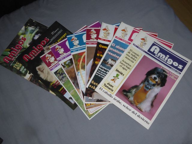 Lote revistas "Amigos en casa"-10 números