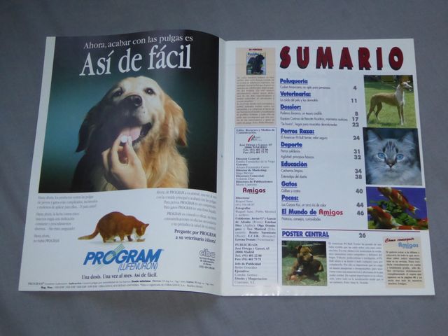 Lote revistas "Amigos en casa"-10 números