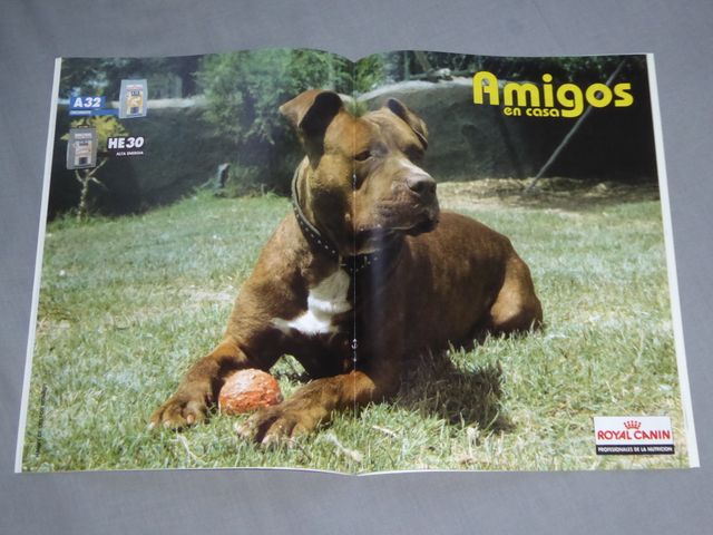 Lote revistas "Amigos en casa"-10 números