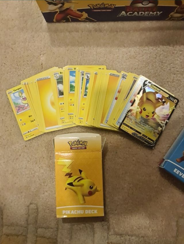 Jogo Pokémon Battle Academy